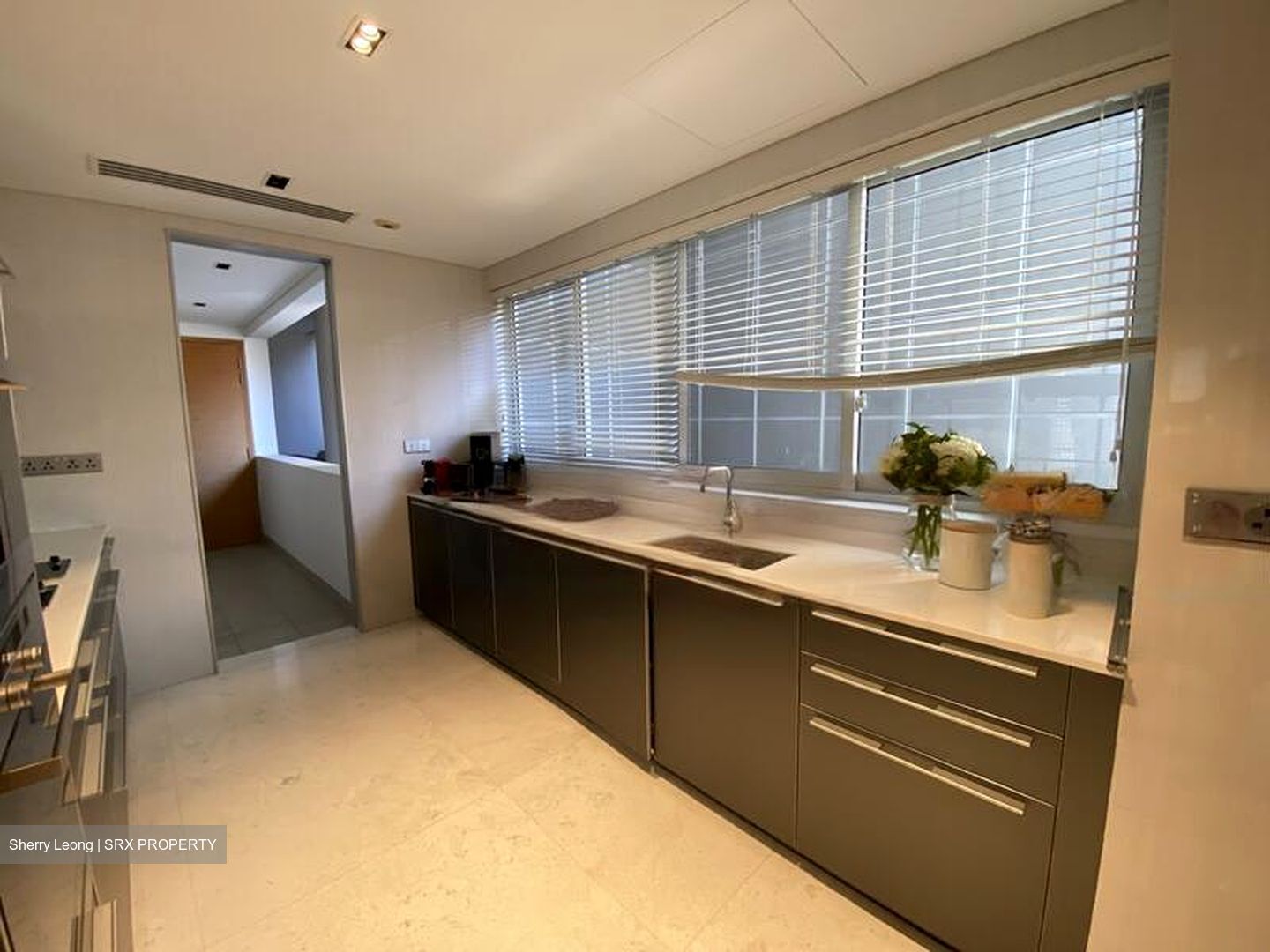 St. Regis Residences (D10), Apartment #480627271